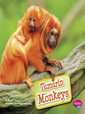 cover image of Tamarin Monkeys
